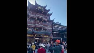 Yuyuan garden shanghai travel outdoorvisit beautifuldestinations [upl. by Elfreda308]