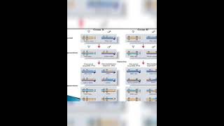 LINKAGE amp RECOMBINATIONPRINCIPLES OF INHERITANCE amp VARIATION SHORTS BIOLOGY CLASS 12 NCERTNEET [upl. by Neliac]