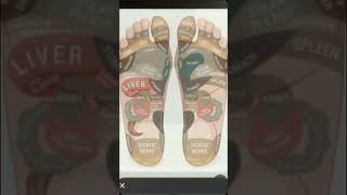 Foot Reflexology Guide Massage for Better Health shorts [upl. by Dolhenty]