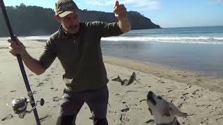 Surfcasting desde La Playa de Cueva Pesca en las Playas de Asturias Paraíso Natural [upl. by Tice530]