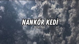 Ahmet Kaya  Nankör kedi [upl. by Alvy]