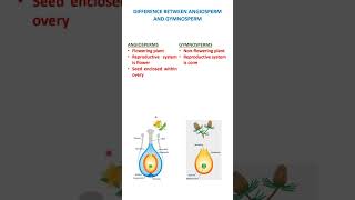 angiosperm and gymnosperm biology ncert [upl. by Eihtur]