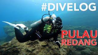 DIVELOG Pulau Redang  Coral Redang Island Resort  Scuba Diving trip 2022 [upl. by Ojela]