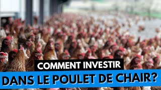 NOUVEAU  AVICULTURE HORS SOL  INVESTIR DANS LE POULET DE CHAIR EN CÔTE DIVOIRE 1 [upl. by Limak]