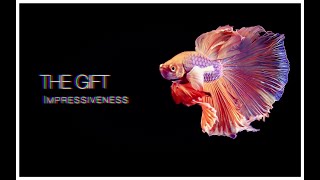 THE GIFT  IMPRESSIVENESS Lyric Video [upl. by Thema359]