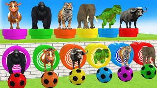 Long Slide Game With Elephant Gorilla Buffalo Hippopotamus Tiger  3d Animal Game  Funny 3d Animals [upl. by Cameron650]