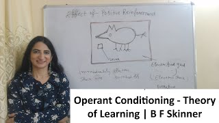 Operant Conditioning  Theory of Learning  B F Skinner [upl. by Frechette]