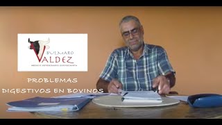 LIVE Dr Valdez  Problemas Digestivos en Bovinos [upl. by Aivital]