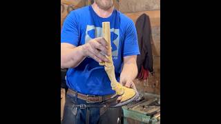 Suspensory Ligament Sprain Horseshoe horsehoof farrier horsecare horsemanship farrierlife [upl. by Ahtnamas]