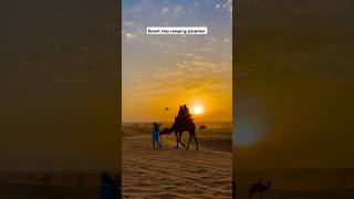 desert me camel ride ke sath sunset time viewjaisalmer to sam sand dunes desertcamping [upl. by Arahahs310]