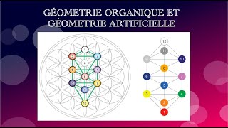 GÉOMETRIE ORGANIQUE ET GÉOMETRIE ARTIFICIELLE  Ashayana Deane Fleur de vie Spirale Christ kathara [upl. by Kevina]