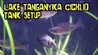 Lake Tanganyika Cichlid Tank Setup [upl. by Eirrod176]