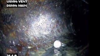 RotoRooter Plumber Saves Wedding Ring From Drain [upl. by Yerok]