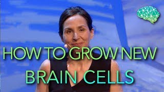 Its possible to Grow New Brain Cells Heres how to do it  Sandrine Thuret [upl. by Edialeda]