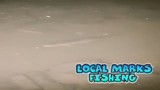 Rare Beauty Breathtaking Sea Trout Filmed Cruising Crystal Clear Waters [upl. by Nwahsor]