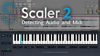 Scaler 2 Workflow  Audio amp Midi Detection [upl. by Zaccaria]