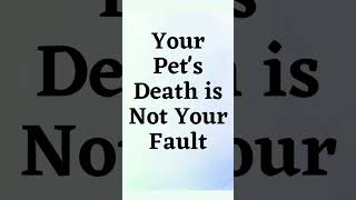 Your Pets Death is Not Your Fault petshorts  Pet Loss  Pet Grief  Dog Loss  Cat Loss  Pets [upl. by Jacquet]