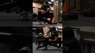 Concentration Curls For Beginners  Gym Arm Exercise For Muscle Building shorts Biceps amp Dumbbells [upl. by Ylloh]