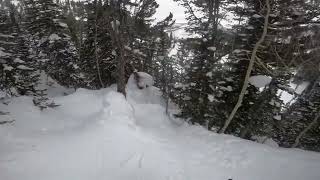 Skiing Headwall Forest at Solitude Mountain [upl. by Papp397]