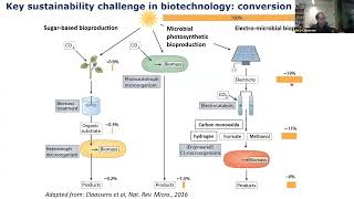 BuildaCell seminar Nico Claassens Synthetic metabolism for sustainable biotech amp synthetic cells [upl. by Spoor]