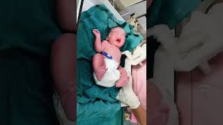 After birth a new baby is fast crying and baby cleaning newborncare [upl. by Elokkin]