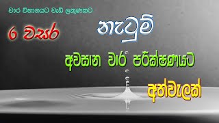 grade 6 dancing grade 6 dancing past papers 3rd term 6 වසර නැටුම් අවසාන වාර පරීක්ෂණය [upl. by Nehtan]