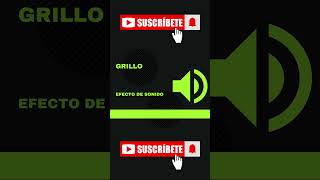 Grillo efecto de sonido shortvideo short efectodesonido [upl. by Fanny]