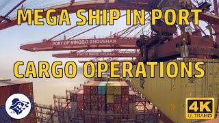 MEGA SHIP CARGO OPERATIONS  1 DAY IN PORT  NINGBO CHINA  TIME LAPSE 4K [upl. by Dreddy]