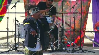 HED PE Entire LIVE Performance Seattle Hempfest 2013 [upl. by Enale]