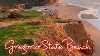 Let’s hike kakaaro San Gregorio State Beach California [upl. by Ohcamac]