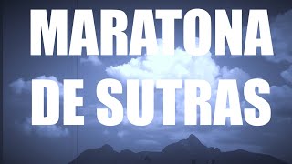 MARATONA DE SUTRAS espiritualidade seichonoie saudemental [upl. by Mchale]