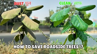 How To SAVE Roadside 🌳 Trees   How to CLEAN Dust from 🌳 Trees  पेड़ों पौधो से धूल कैसे साफ करें [upl. by Yme]