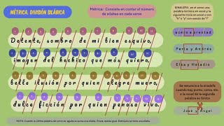 División silábica rima consonante y asonante verso estrofa sinalefa soneto [upl. by Hcab]
