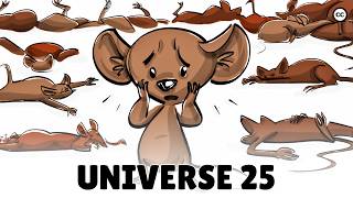 The Universe 25 Mouse Experiment [upl. by Tamanaha]