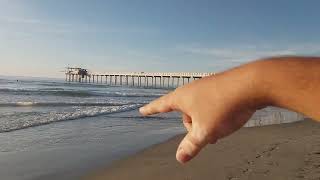 Prof Ignacio Sepúlveda en el Scripps Memorial Pier La Jolla San Diego Estados Unidos [upl. by Asilana]