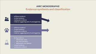 The IARC Monographs Different types of evidence [upl. by Manvell458]