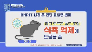 식욕 억제에도 도움을 주는 다이어트 유산균 BNR17👍🏻  친절한 진료실 174회  JTBC 240527 방송 [upl. by Paryavi996]