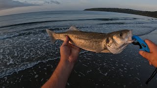 Topwater Bass at Laxey🎣🎣🇮🇲🇮🇲 [upl. by Nevaeh28]