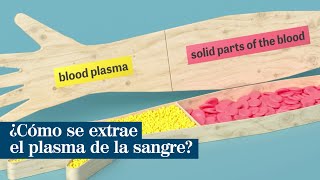 Así funcionan las máquinas de extracción de plasma sanguíneo [upl. by Enialed356]