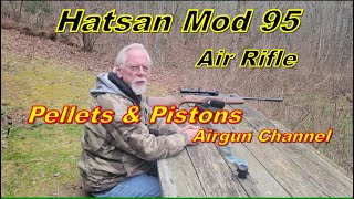 Hatsan Model 95 Air Rifle at 25 Yards [upl. by Annaliese]