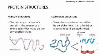 Chapter 23 Biological Molecules  Proteins [upl. by Marasco]