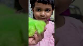 Here chicky chick🐣 babychicks birdchirping playtime funwithchicktrending youtubeshorts cute [upl. by Borroff]