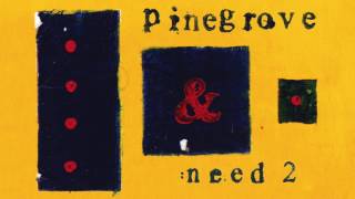 Pinegrove  Need 2 [upl. by Aymahs]