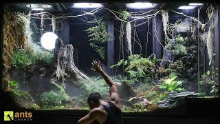 Saying Goodbye to Some Beloved Animals in My Giant Rainforest Vivarium [upl. by Kariotta]