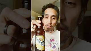 Tepachito Pineapple Tepache Drink review [upl. by Ahseiyk78]