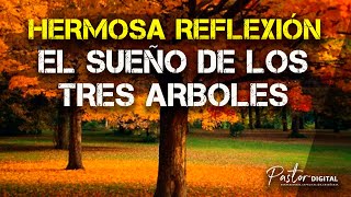 🌲🌲🌲 REFLEXIONES CRISTIANAS CORTAS HABLADAS LOS TRES pequeños ARBOLES  MARIANO OSORIO 🌲🌲🌲 [upl. by Casilda332]