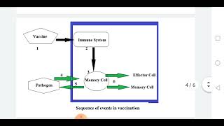 Vaccines theory بالعربية [upl. by Herzel]