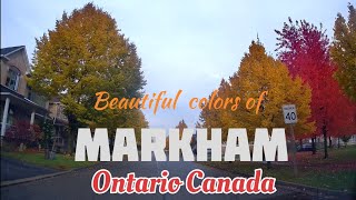 Markham Ontario Canada 🇨🇦 [upl. by Minor]