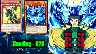 YGOPRO Water Dragon deck 2024Dinovader Docus LEDE [upl. by Yorgos3]