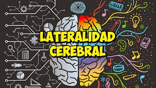 ESPECIALIZACIÓN FUNCIONAL de los HEMISFERIOS DEL CEREBRO  LATERALIDAD CEREBRAL [upl. by Picco963]